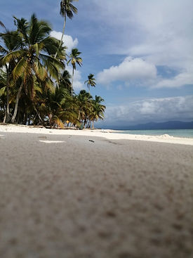 WhatsApp Image 2021-04-30 at 4.01.22 PM.