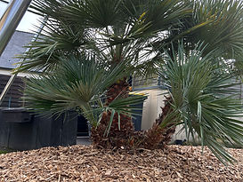 création aménagement jardin 