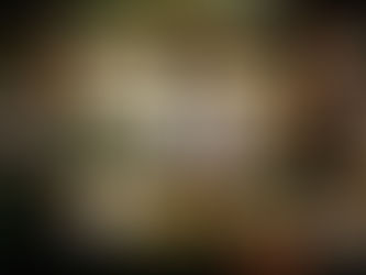 Bar team executing efficient service