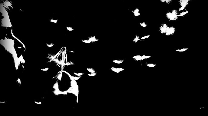 spreading the seeds of life.JPG