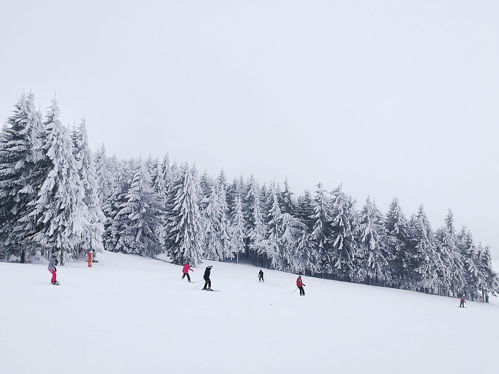 people-snow-covered-landscape-against-sky.jpg