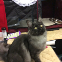 2016-05-29_14-13-34_680.jpeg