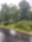 fallen tree removal Ruddington