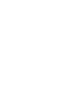 Copy of Untitled Design.png