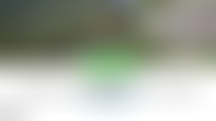 Il segreto per migliorare la DISCESA nel Trail Running