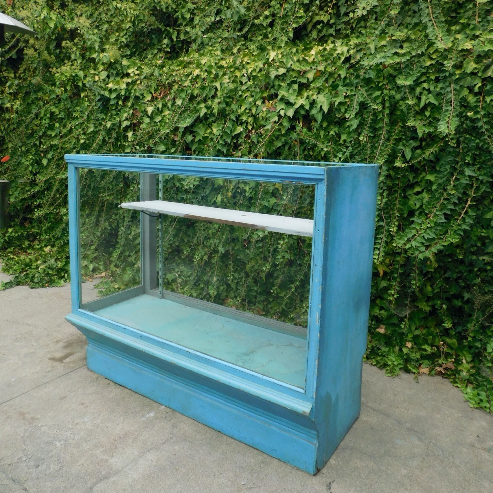 Botanical Blue Vintage Display Case