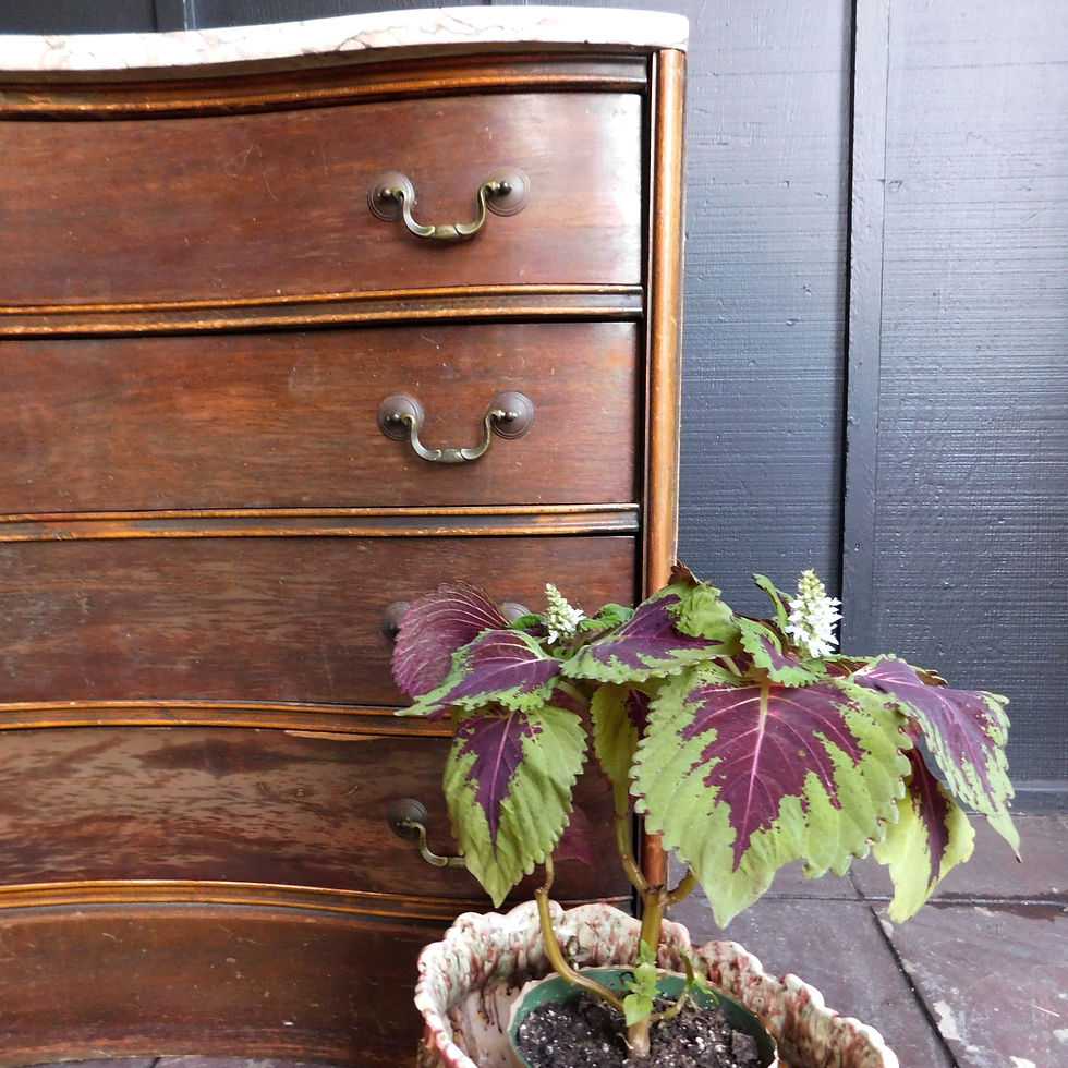 Thumbnail: Antique Portuguese Marble Top Dresser