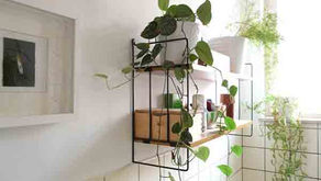 Những mẫu thiết kế phòng tắm đơn giản