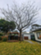 gutter cleaning service