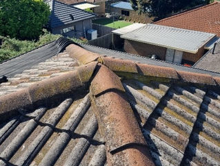 roof restoration and exterior painting