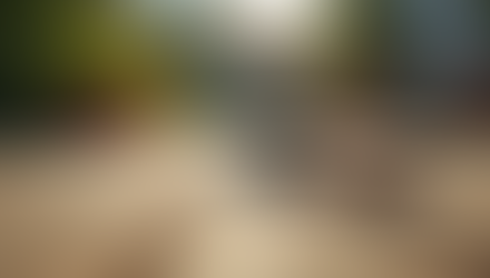 Expert Solutions for Deck Repair in Australia