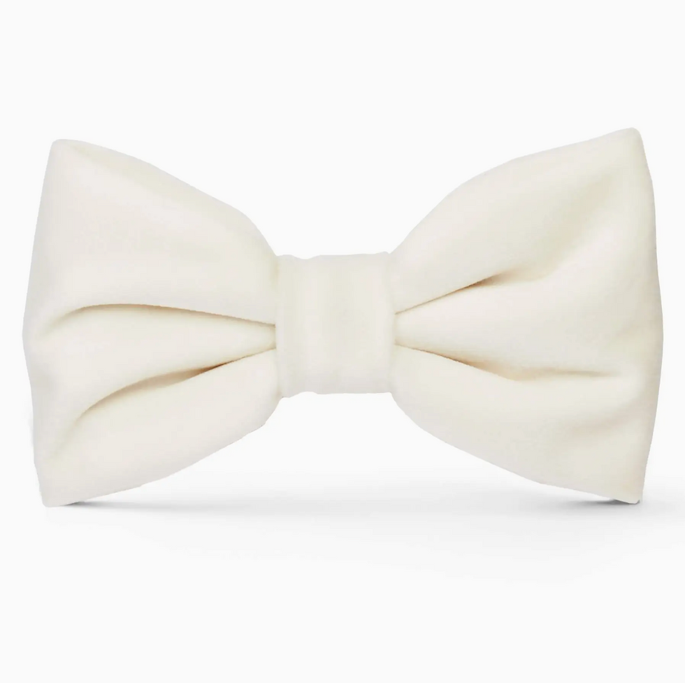 Thumbnail: The Foggy Dog Velvet Bow Tie