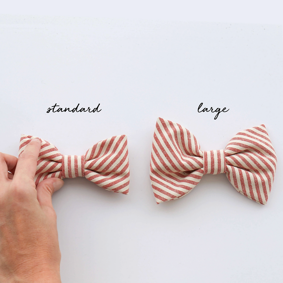 Thumbnail: The Foggy Dog Bow Tie
