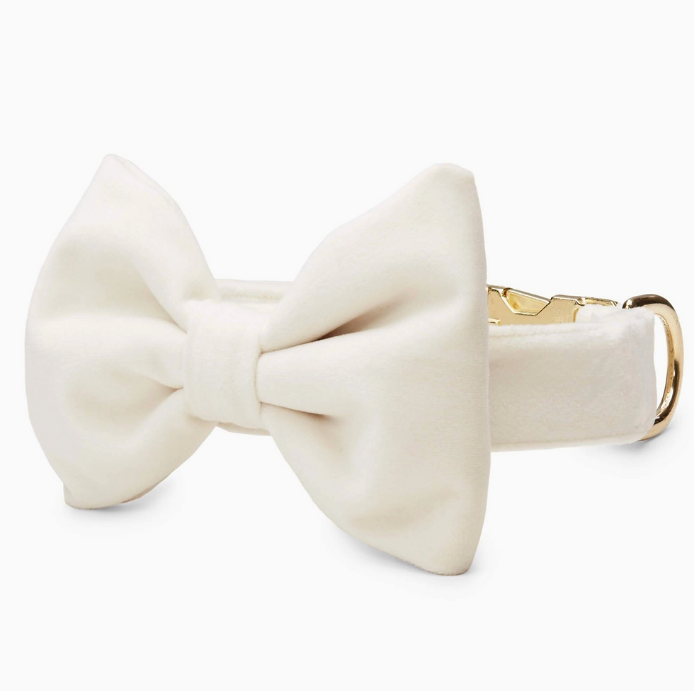 Thumbnail: The Foggy Dog Velvet Bow Tie