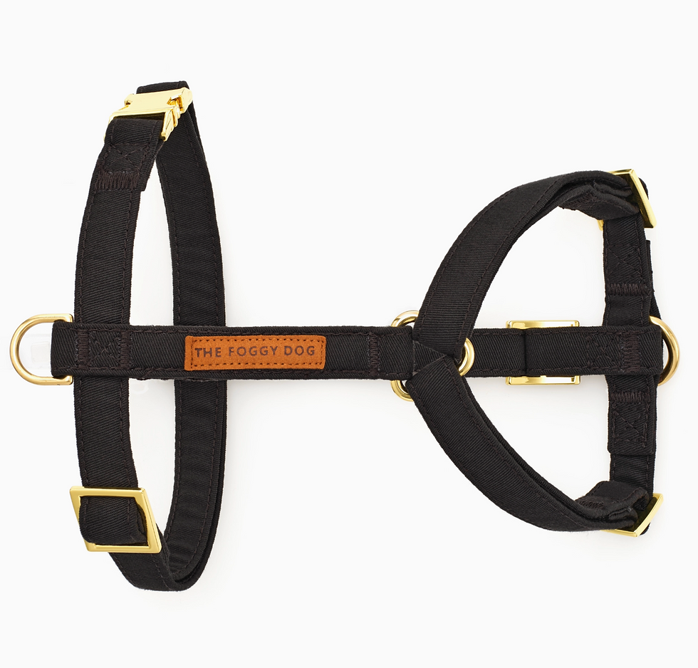 Thumbnail: The Foggy Dog Harness