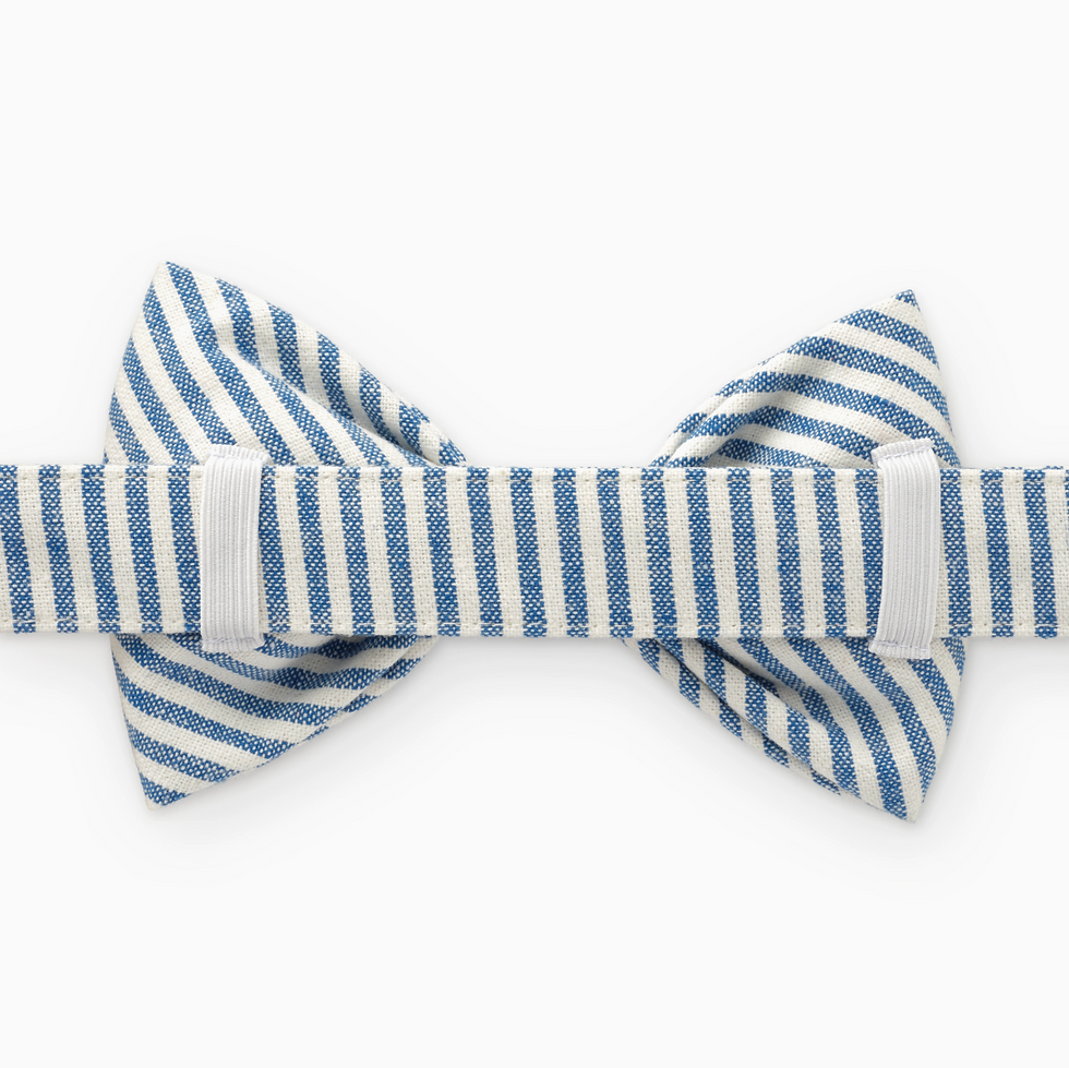 Thumbnail: The Foggy Dog Bow Tie