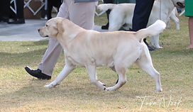 heath.movement.ocala.2020 (2).jpg