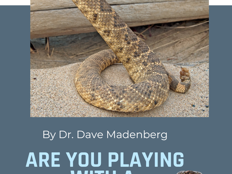 Are You Playing With The Serpent? By Dr. Dave Madenberg