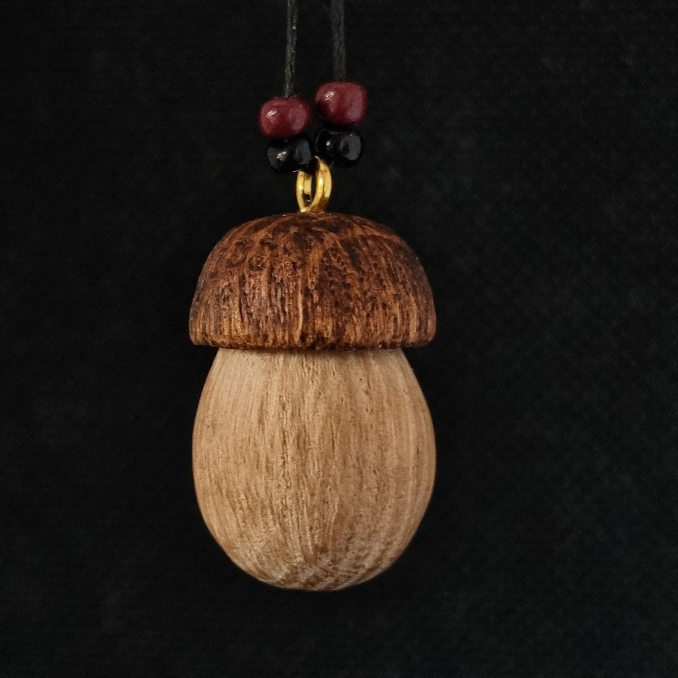 Tıbbi aromatik ve aromaterapi uçucu yağ kolyesi,  aksesuarı porçini ( boletus edulis ) mantarı formunda