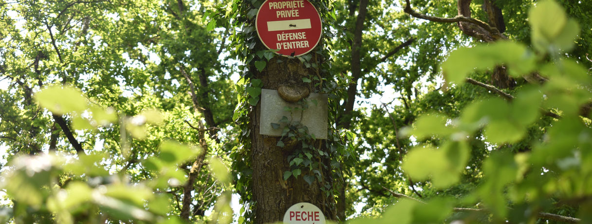 DSC_0775.JPG