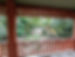 Kittys Guest House