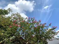 厚生労働省「ひきこもり対策研修」