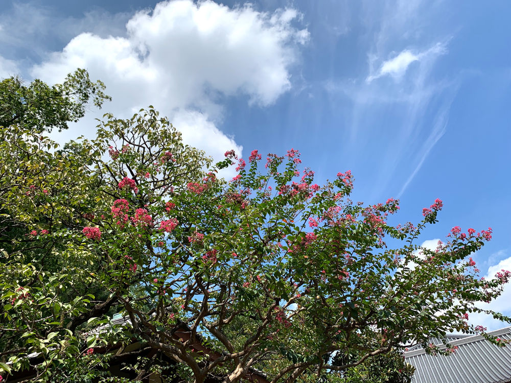 厚生労働省 ひきこもり対策研修