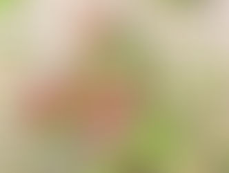 豊島区精神保健福祉講演会「コロナ禍のひきこもり」