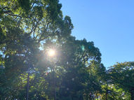 老先生がくれたもの