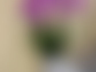 ②精神障害者保健福祉手帳