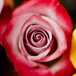 735c16d4-4f0a-4bf0-b81f-b63c0d8cbd53_1_201_a