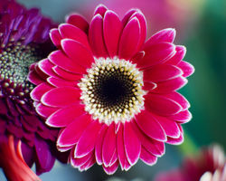 b0e61c7a-2d6e-419d-ae53-f9f23131ff1f_1_201_a