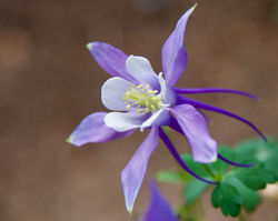 9e5b9e30-0443-4a3d-8c50-09e2bb2677e2_1_201_a