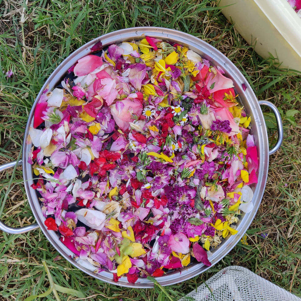 La notte delle streghe e l'Acqua di San Giovanni