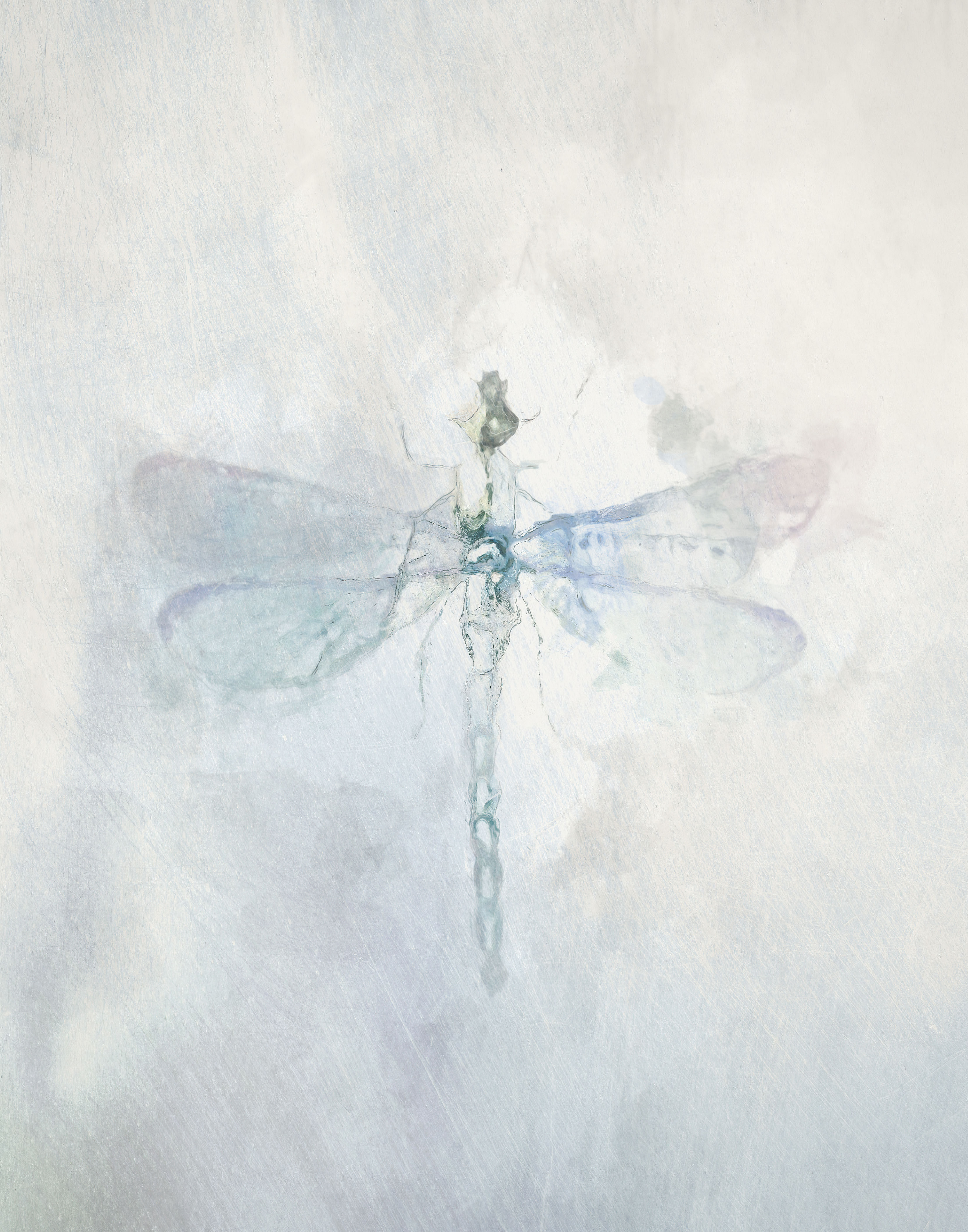 Watercolour Wings 1