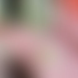 How to get your funding in 24Hours