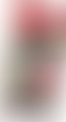 Salon des Métiers d'Arts