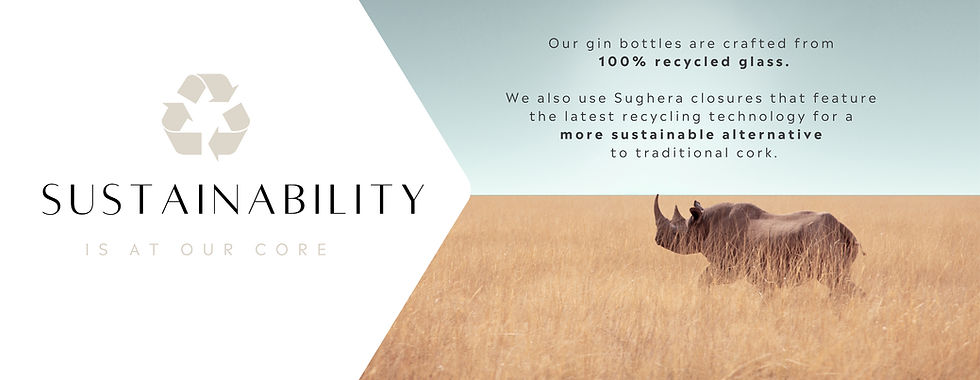 omavi cartoon logo (5000 x 3000 px) (13)_edited.jpg