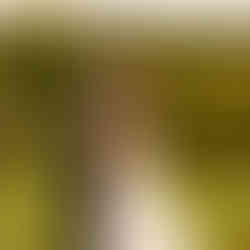 North Carolina Wedding Photographer | Hickory NC Wedding Photographer