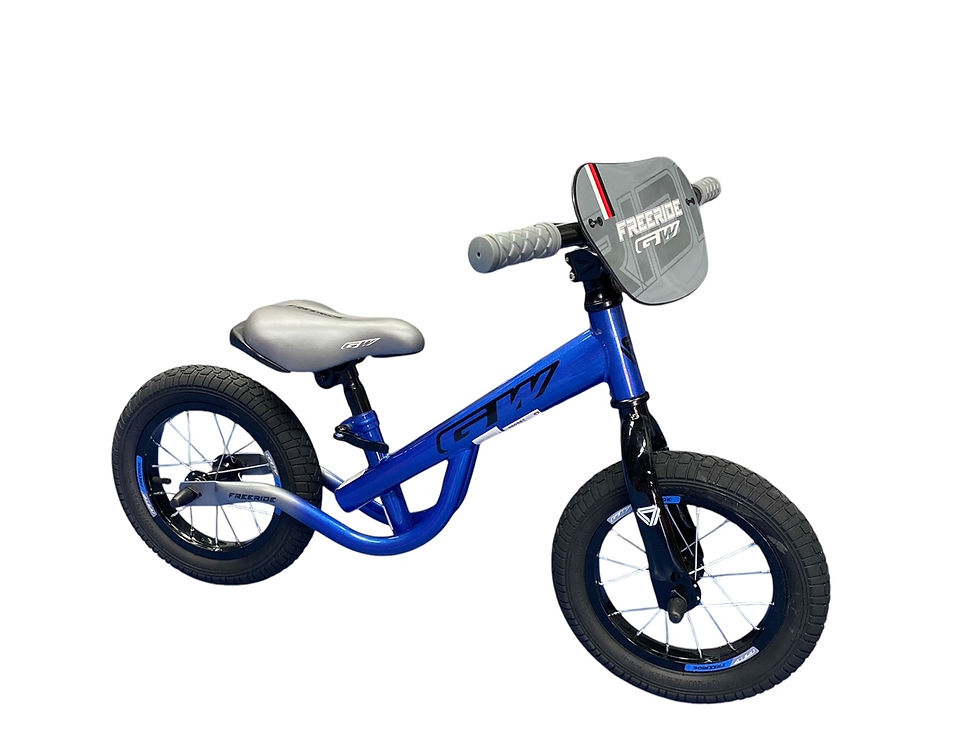 Bicicleta de impulso GW Freeride Rin 12