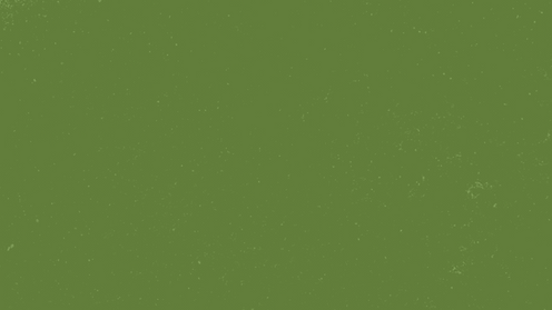 Black Minimalist Learn and Grow Desktop Wallpaper (1920 x 1080 px).png