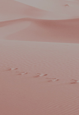 Pink Sand_edited.jpg