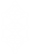 Untitled_Artwork 2.png