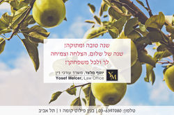 שנה טובה יוסי מלצר