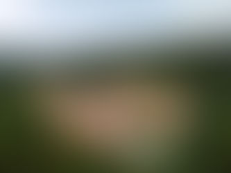 SPOTLIGHT: Four Seasons Resort Whistler