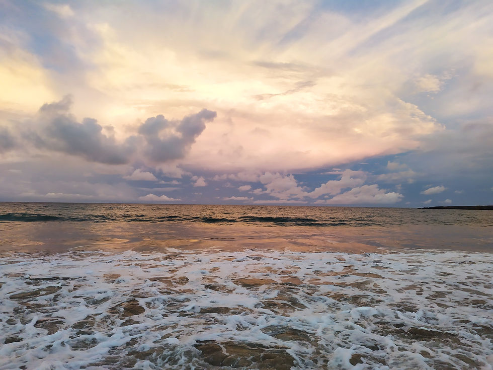 Landscape & Nature Tour