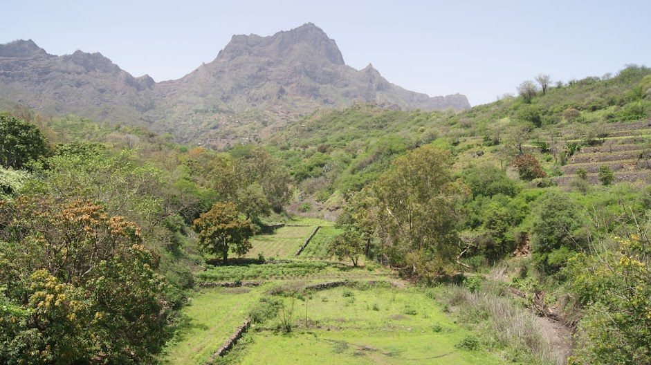 Landscape & Nature Tour