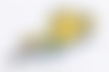 Singing in Tune!!! - Ear Training