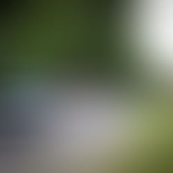 Friday Five - June 5