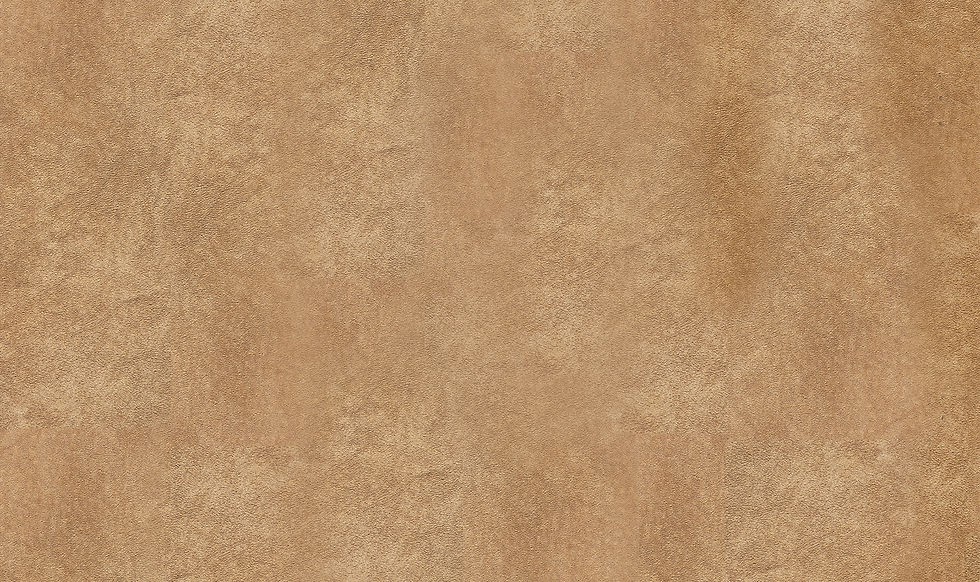 leather_sm.jpg
